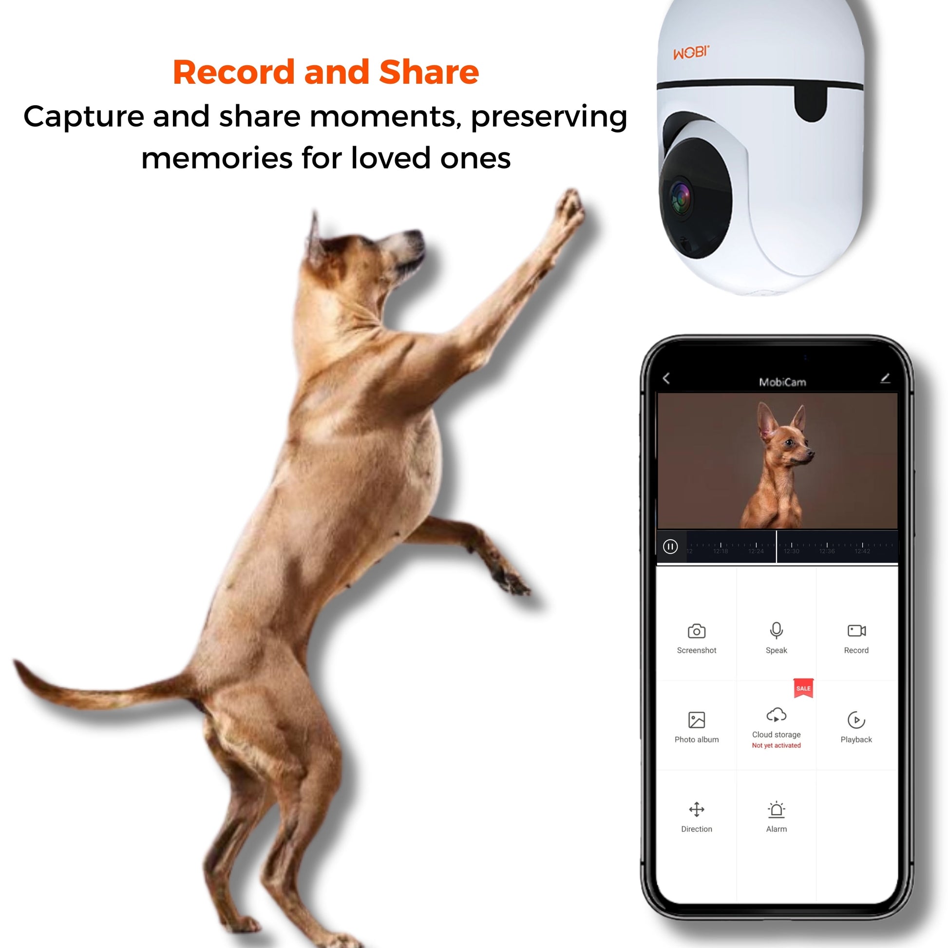 cam HDX Smart Wi-Fi Pet/ Baby Monitor Camera with Motion Detection, Night Vision, & Two-Way Audio